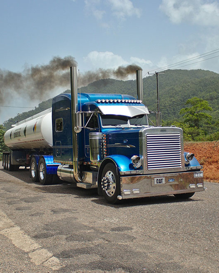 Operation & Maintenance Service